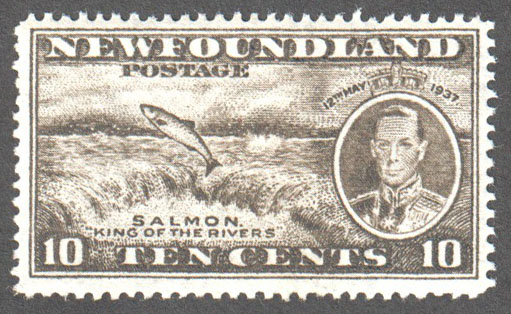Newfoundland Scott 237 Mint VF (P13.7) - Click Image to Close
